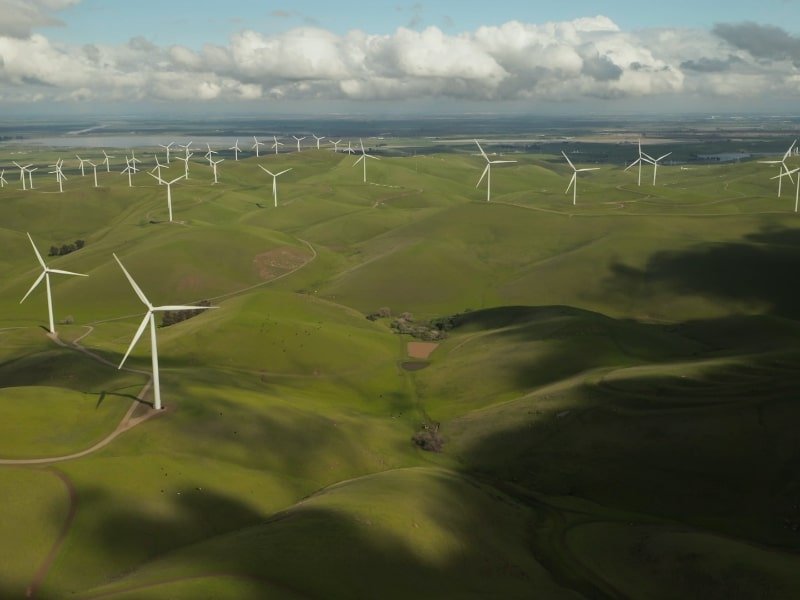 Giving Back To Nature