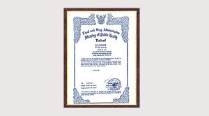 រឿងរ៉ាវអំពី Medicraft